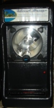 Parrot Ice Single
